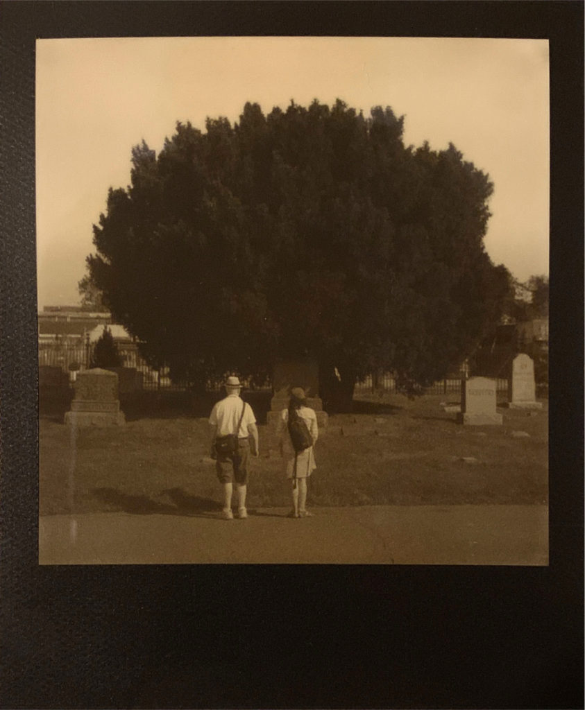 a man and a woman looking at a large bush and tombstones